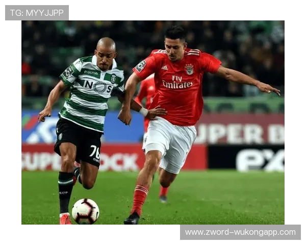 从布拉加打出身价到回归葡萄牙体育：帕利尼亚的关键转折