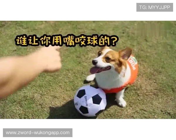 小罗退役后还在夜店蹦迪，豪宅里养着三只柯基，电费比普通人月薪还高