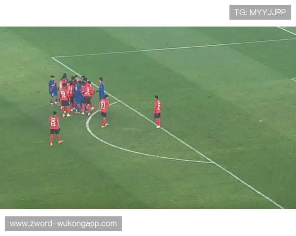 为什么这张红牌判罚让全场哗然？规则到底怎么界定的