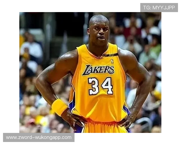 奥尼尔内线单打效率远超韦德，篮下统治力提升球队攻防稳定性